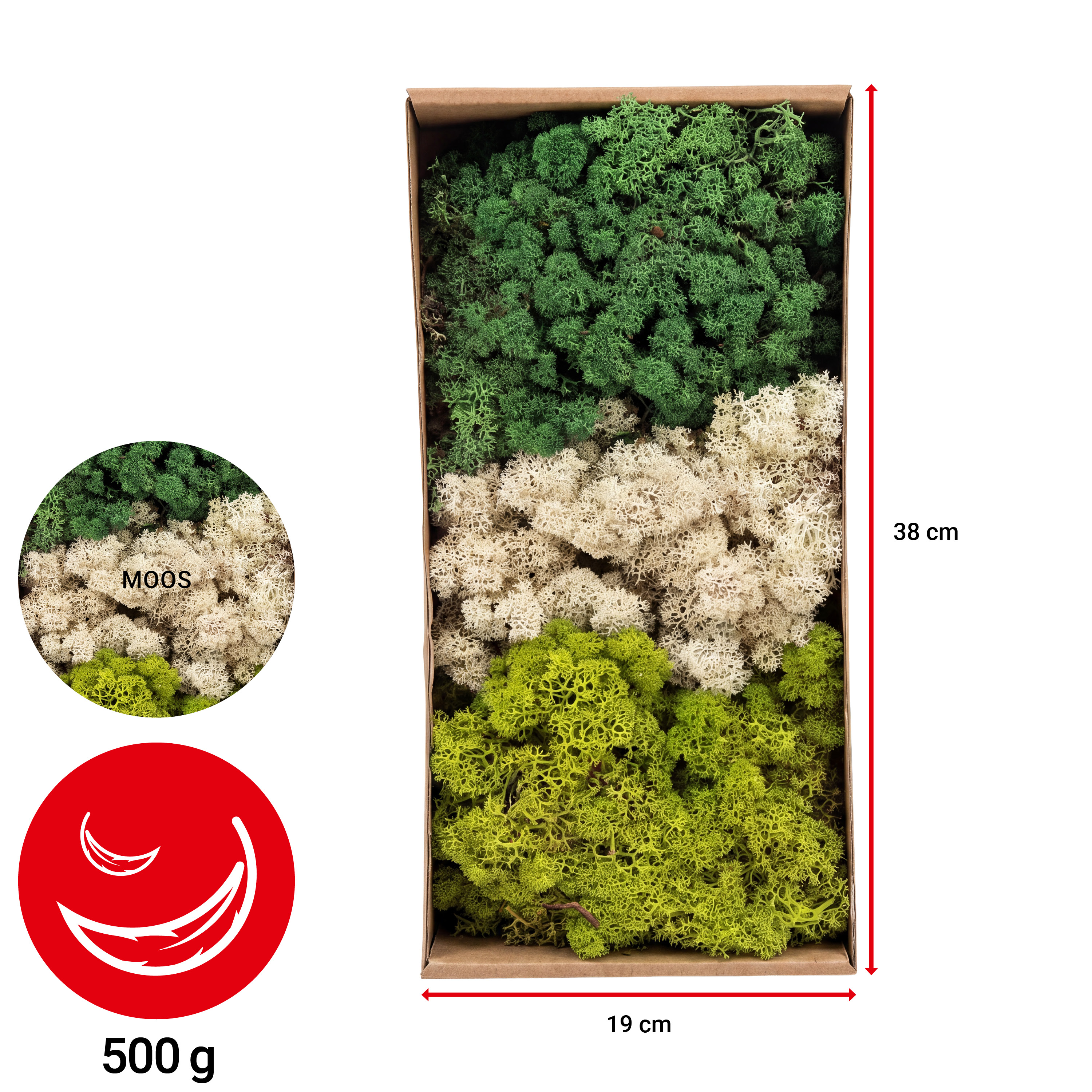 Moos - natur/beige - 500 g - VE: 4 Stück