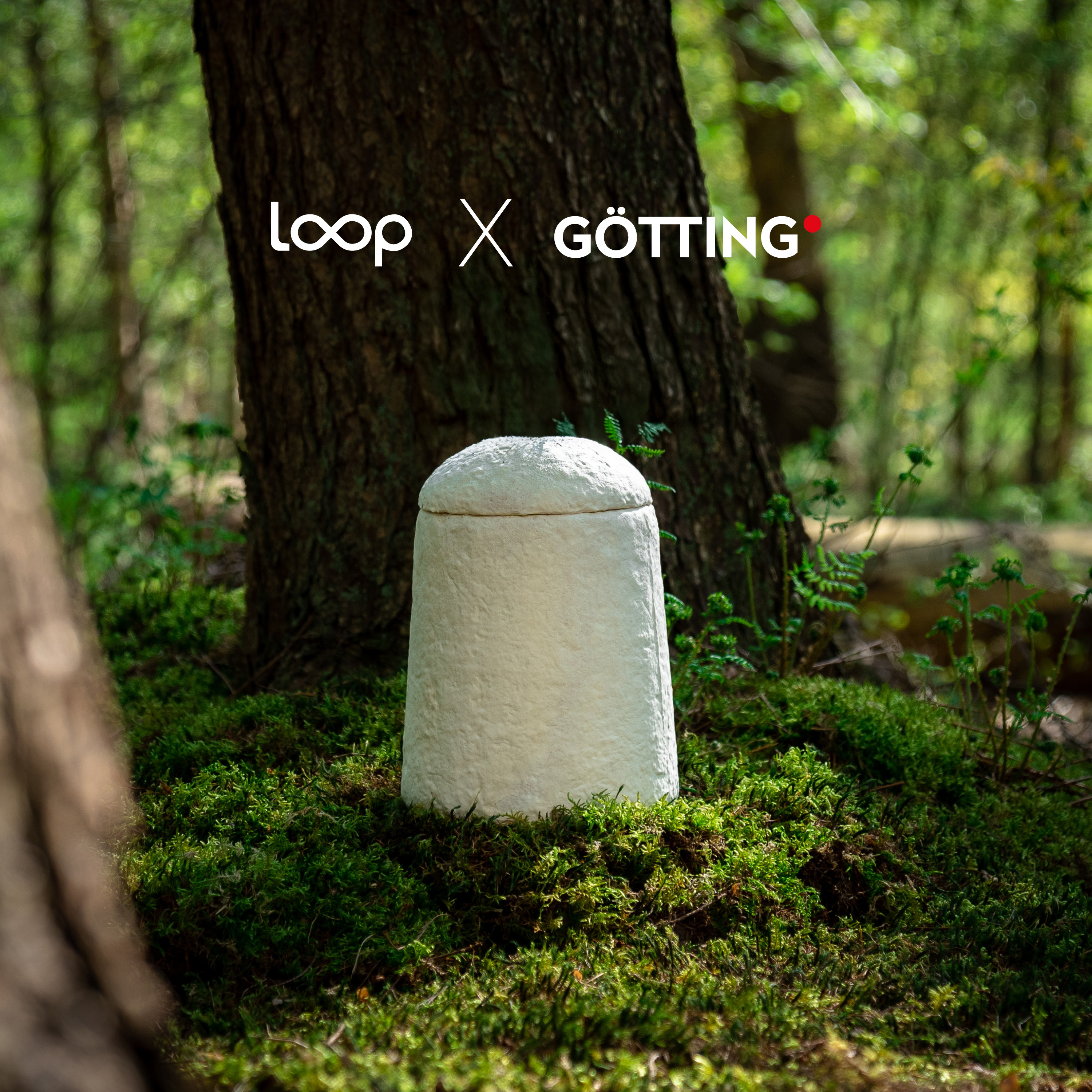 Loop Biotech Pilzmyzel-Urne "Loop EarthRise™" - Calm