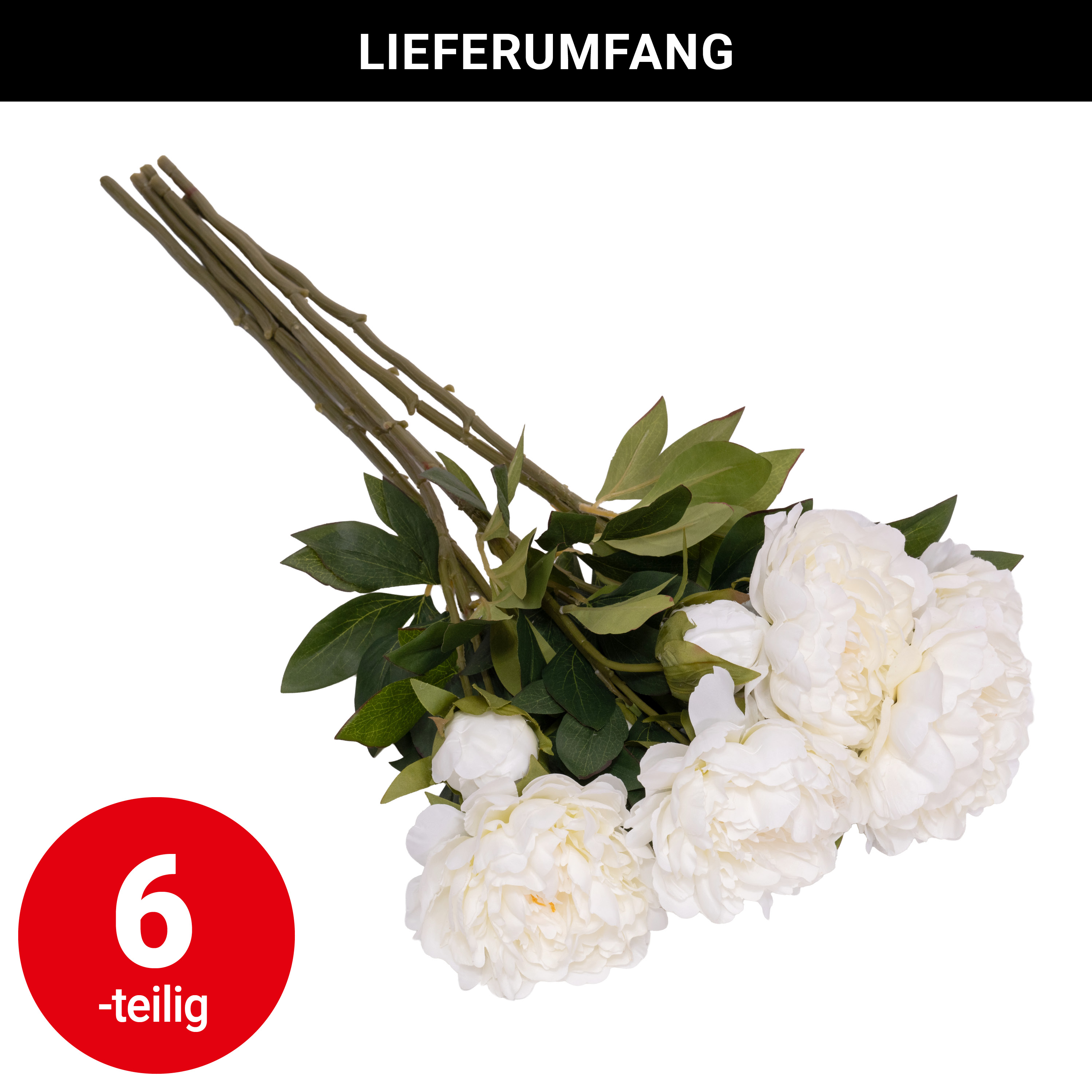 Zweig - Pfingstrose - 72 cm - VE: 6 Stück