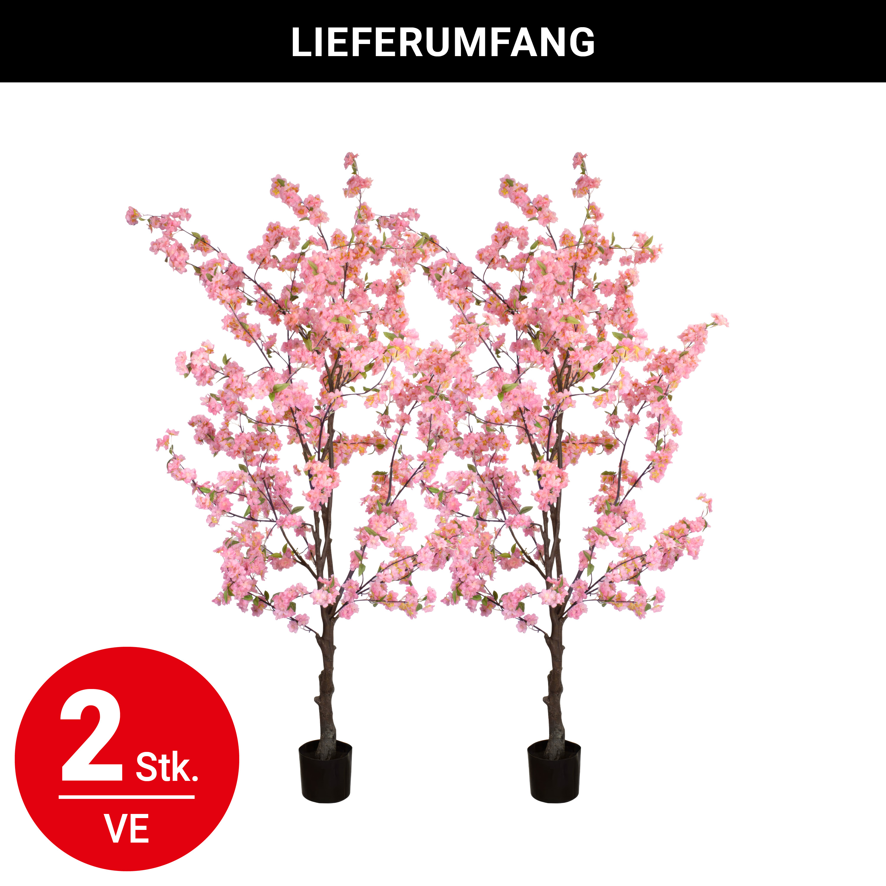 Pfirsichblütenbaum - 200 cm - VE: 2 Stück