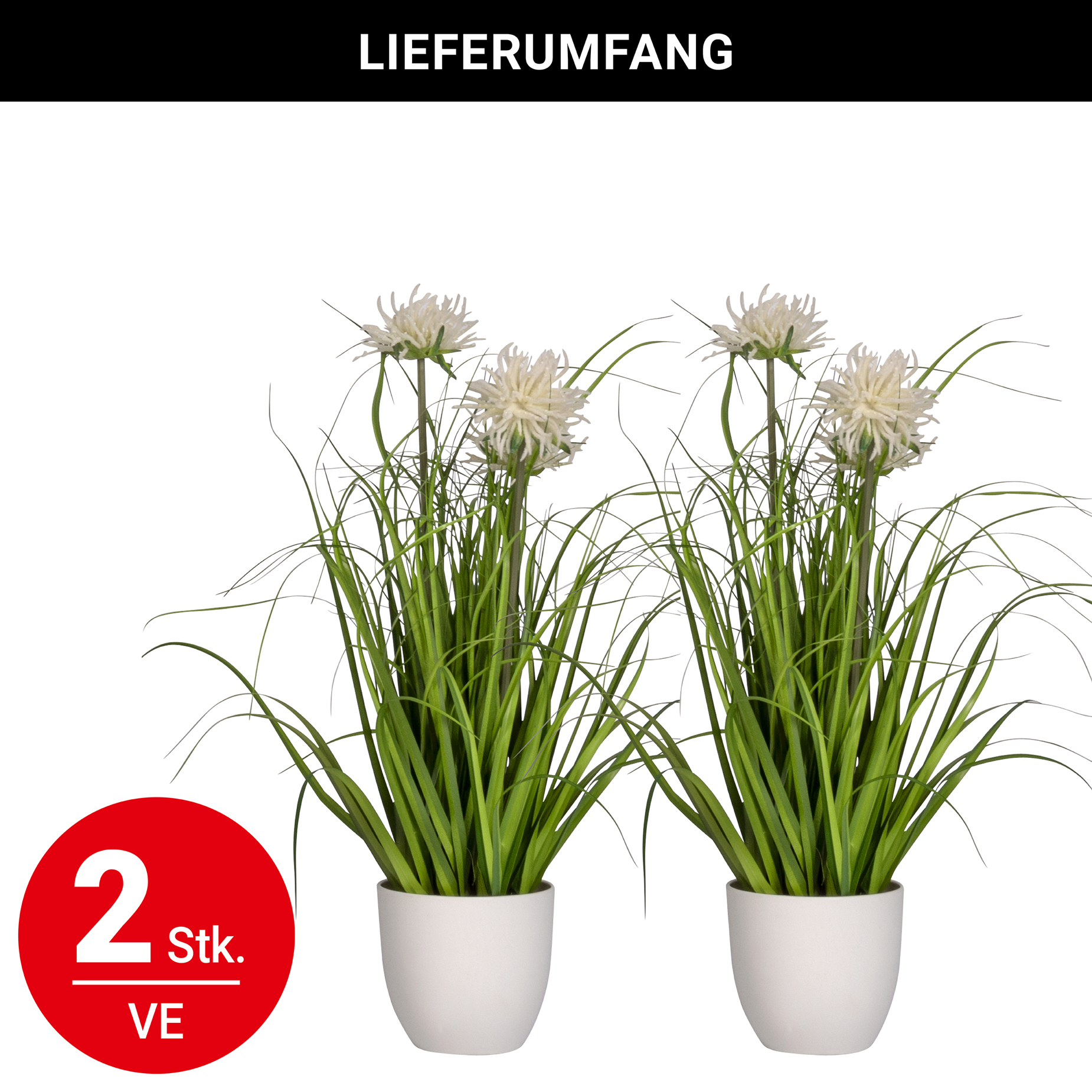 Gras blühend - Übertopf weiss - 60cm - 2 Stück | 60 cm