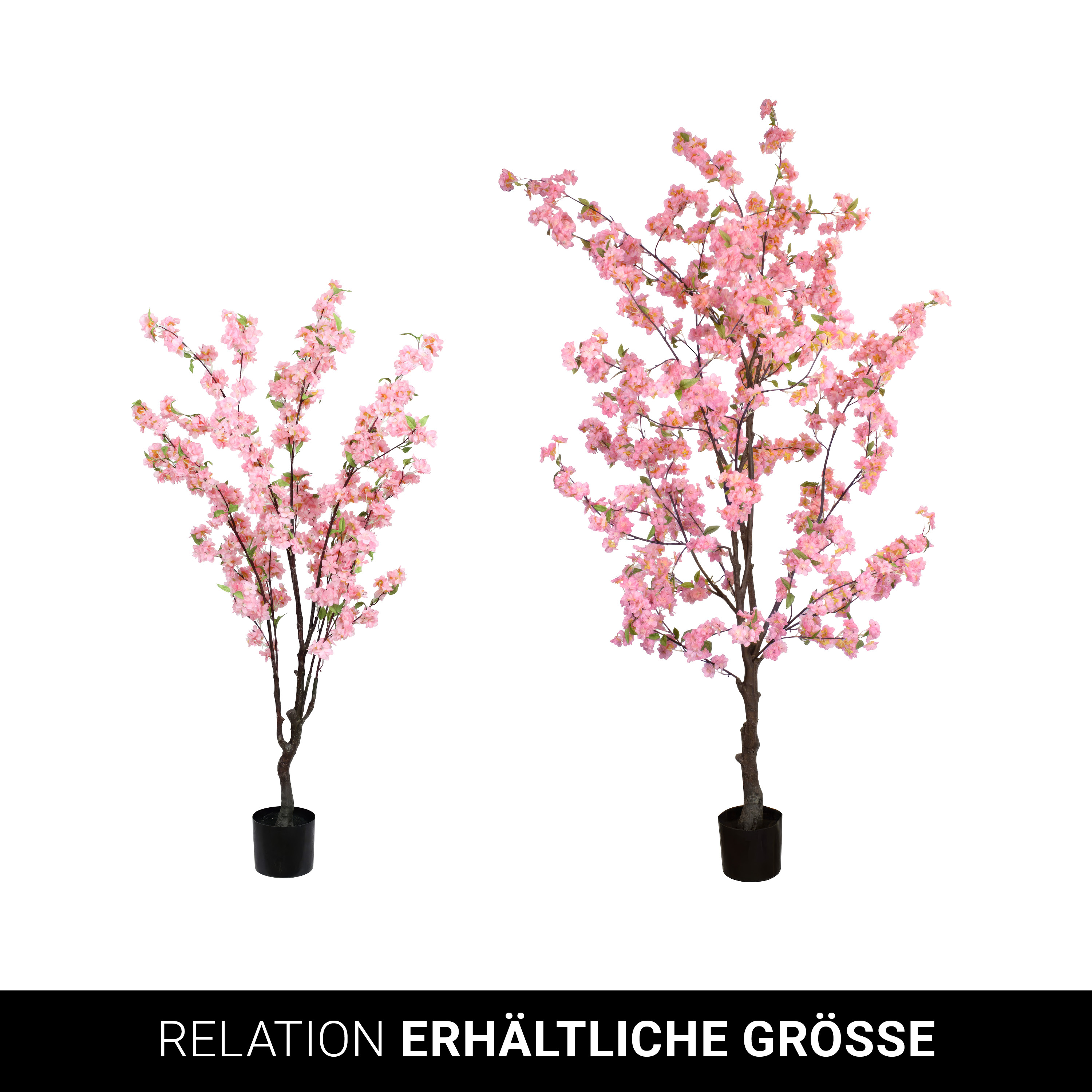 Pfirsichblütenbaum - 200 cm - VE: 2 Stück