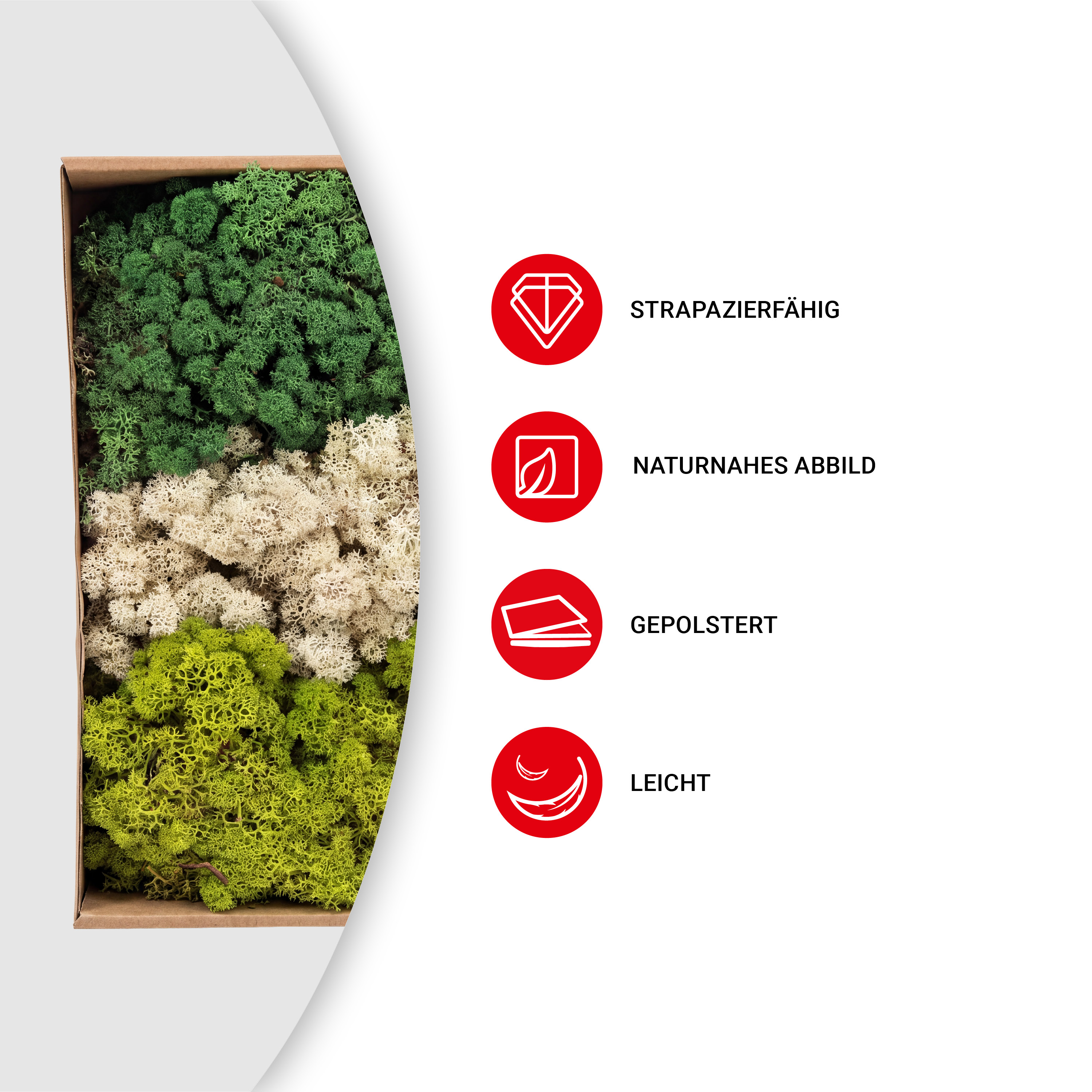 Moos - natur/beige - 500 g - VE: 4 Stück