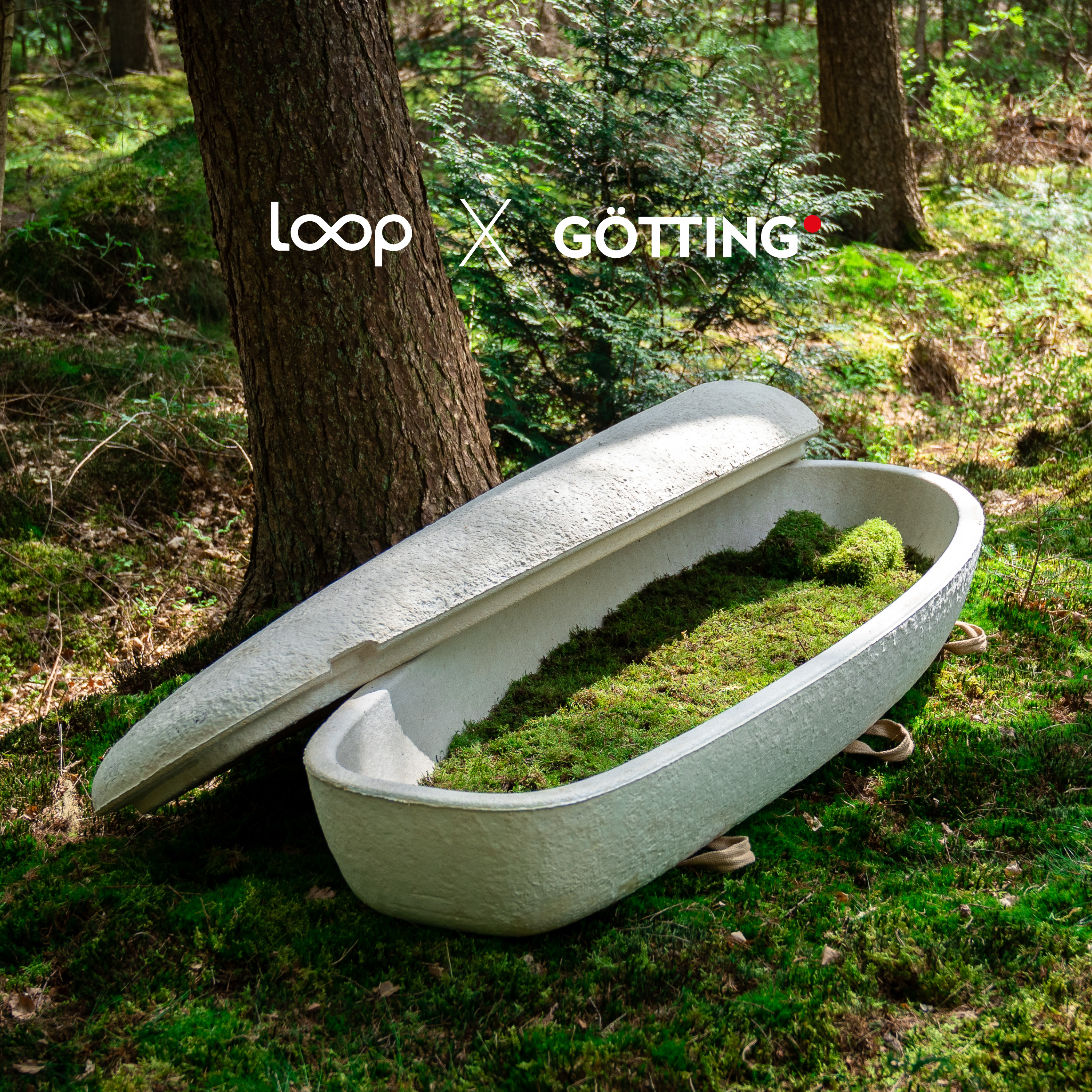 Loop Biotech Pilzmyzel-Sarg "Loop Living Cocoon™" - Moosbett - Calm