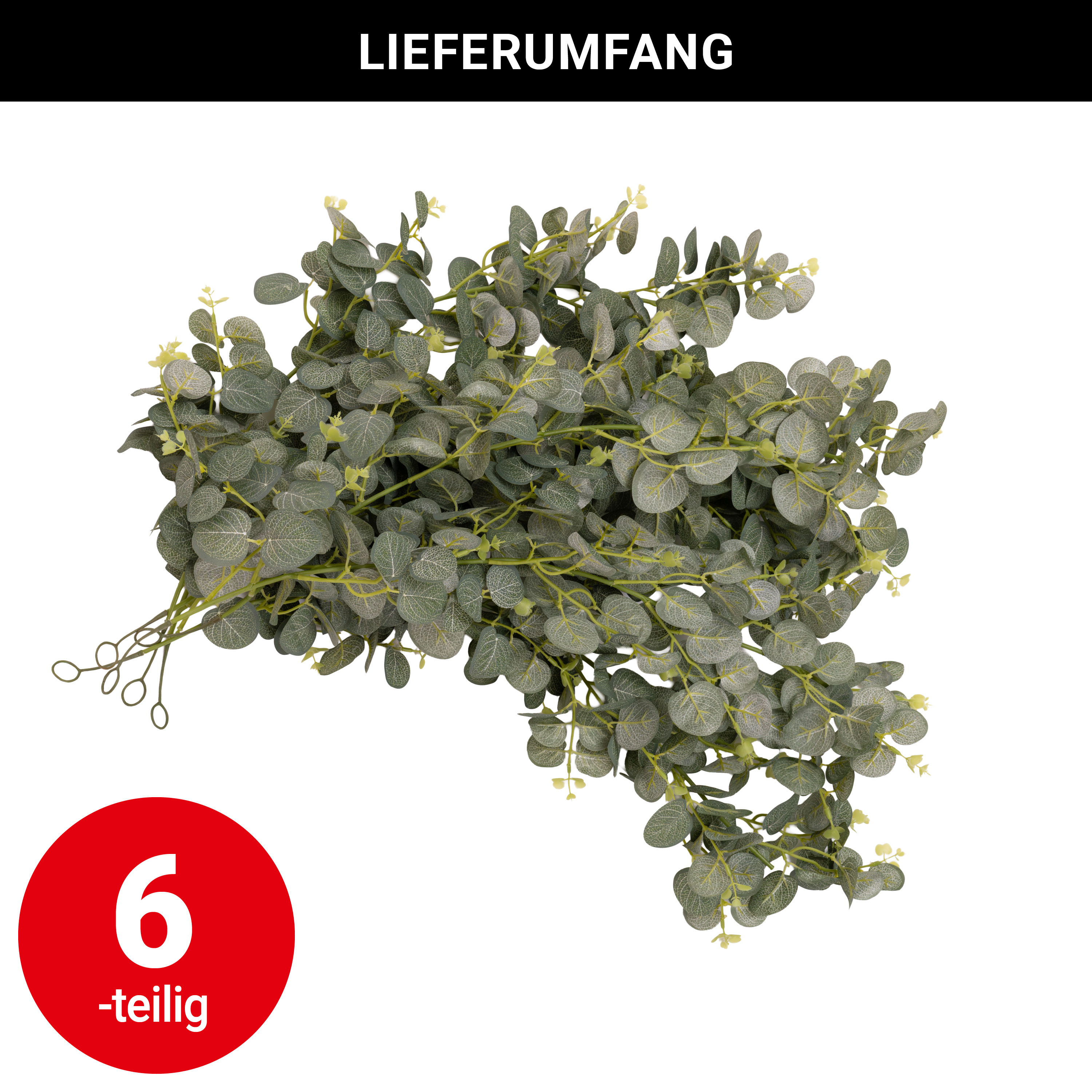 Ranke - Eukalyptus - 75 cm - VE: 6 Stück