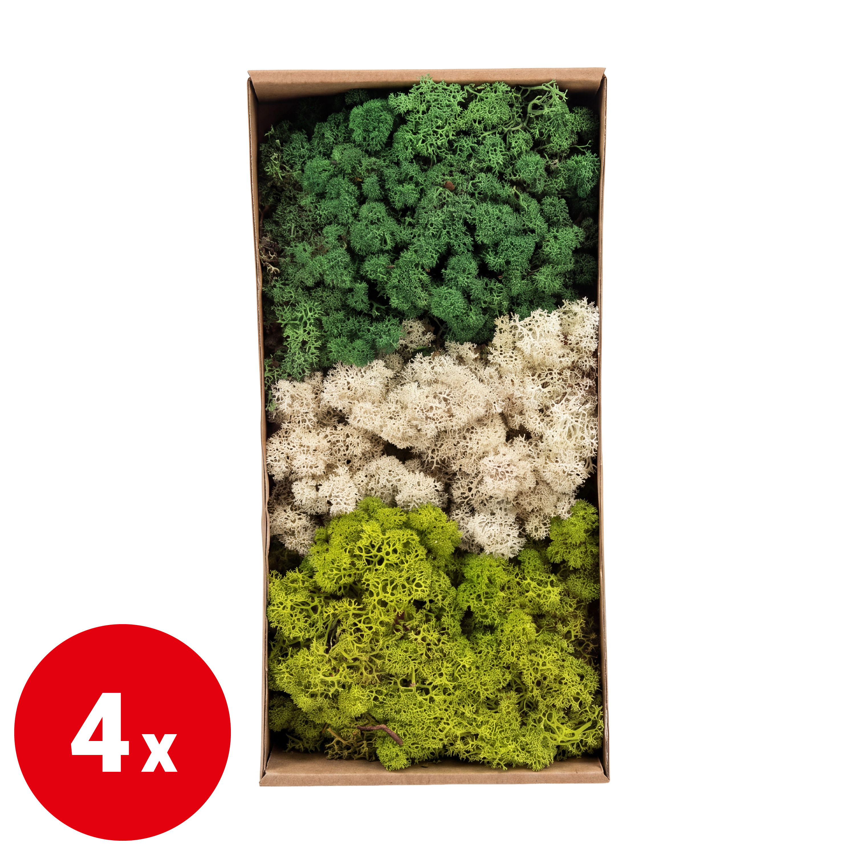 Moos - natur/beige - 500 g - VE: 4 Stück