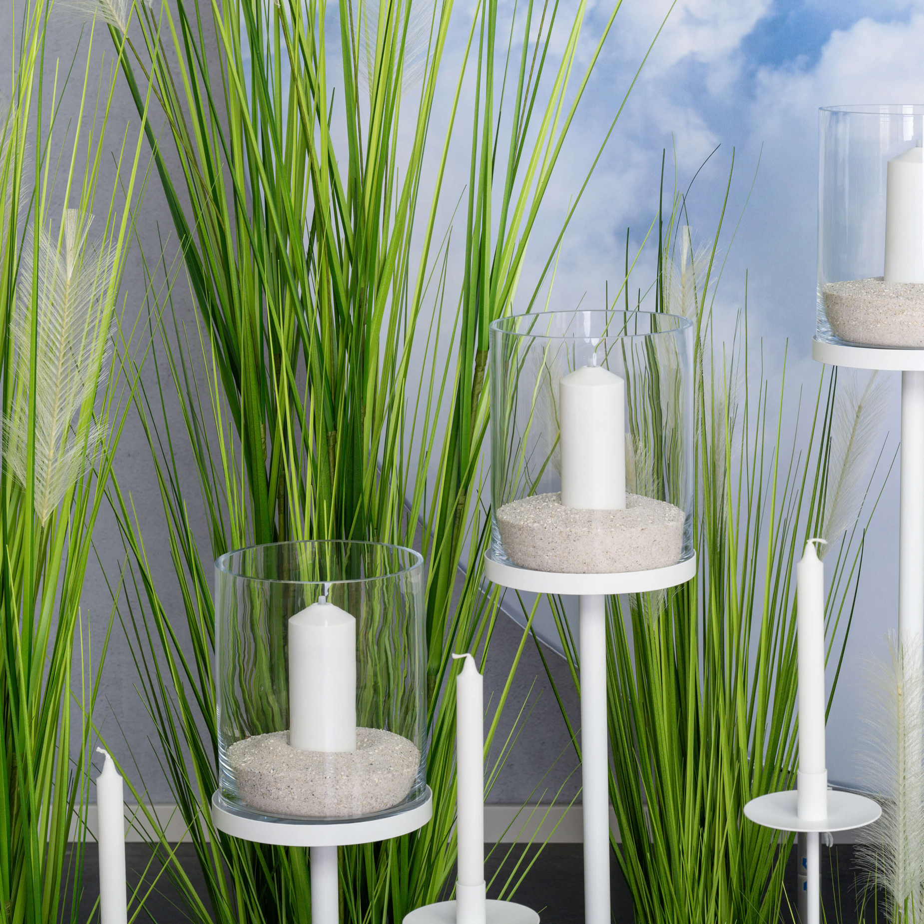 Pampasgras - Übertopf weiss - 80 cm - 2 Stück | 80 cm