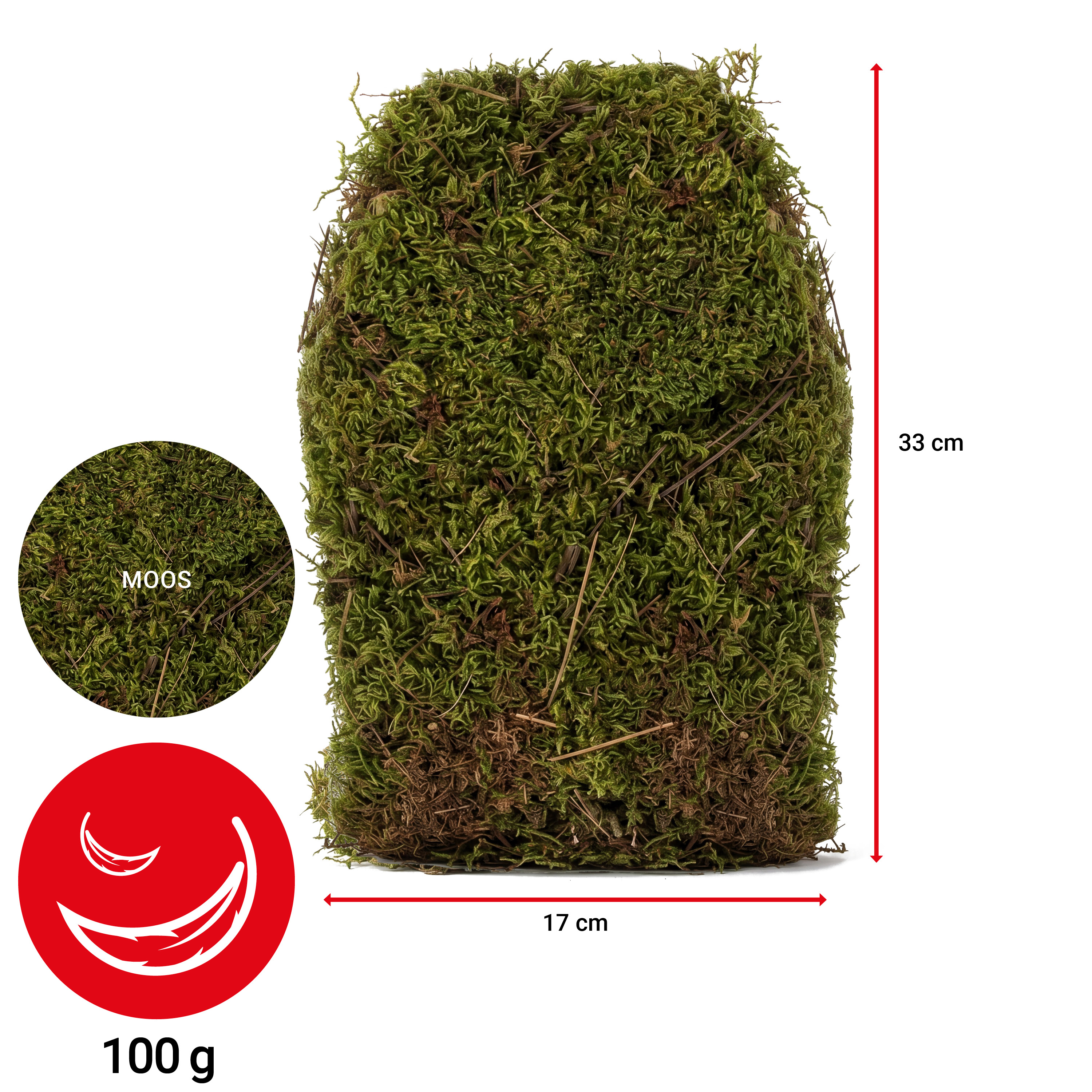 Moos - getrocknet/grün - VE: 1 kg