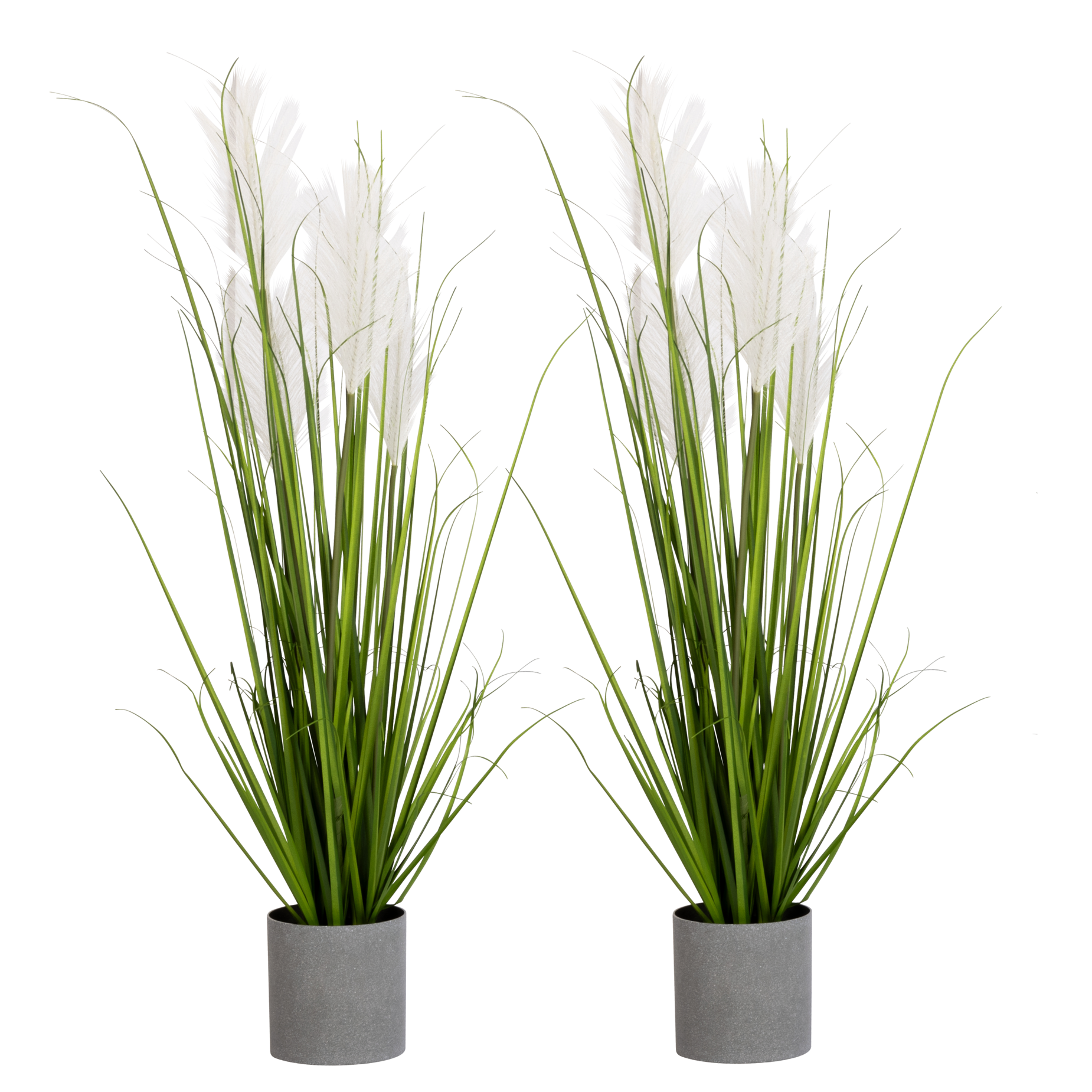 Pampagras - Übertopf grau - 90cm - 2 Stück | 90 cm