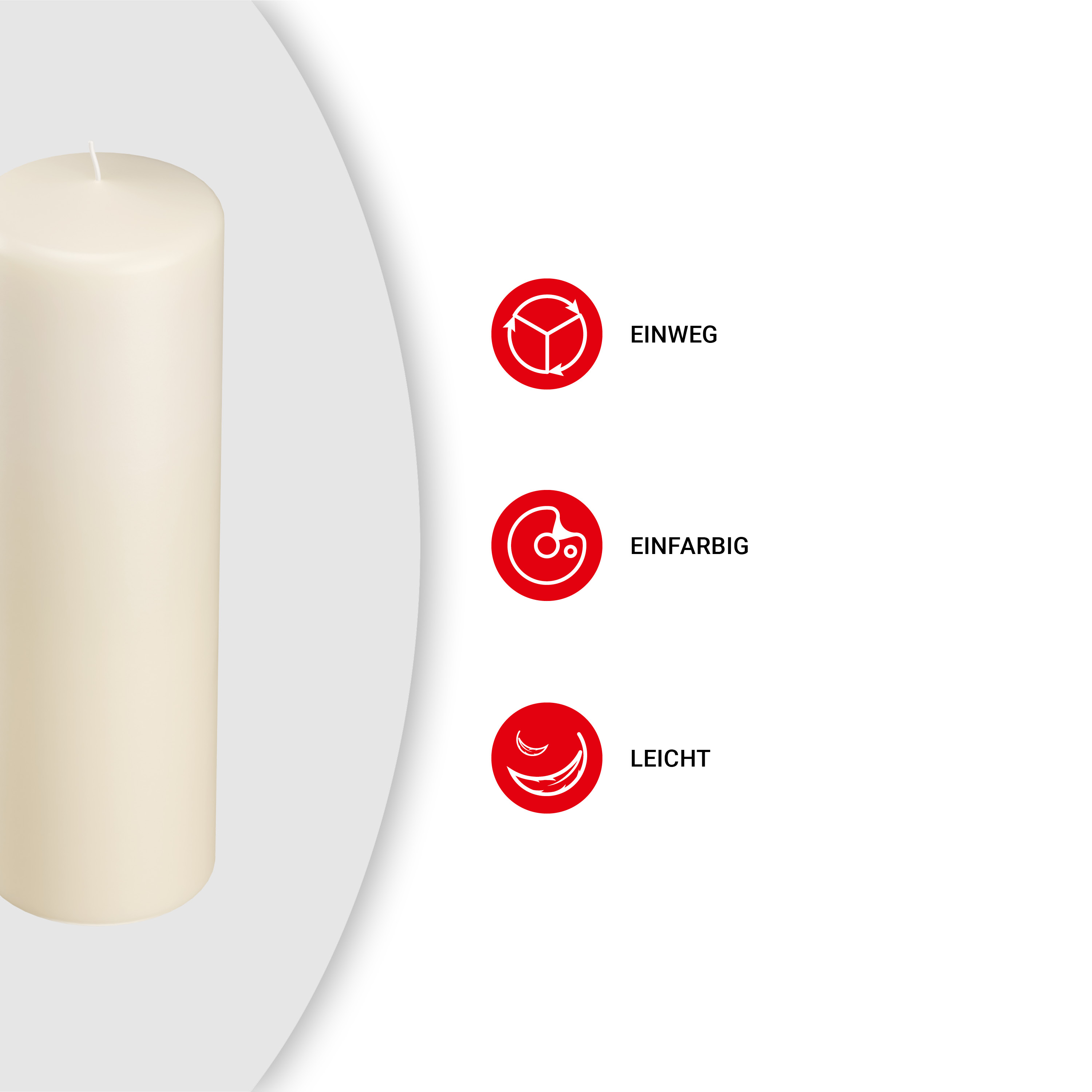 Stumpenkerze - creme - ø8cm H 25cm - 12 Stück