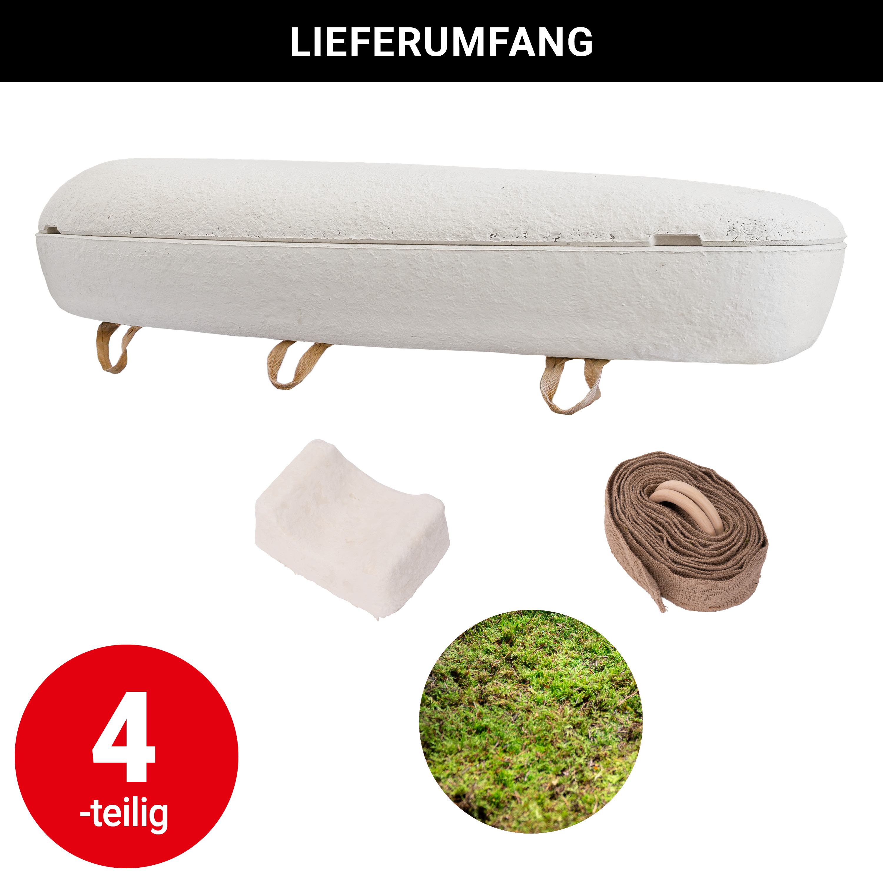 Loop Biotech Pilzmyzel-Sarg "Loop Living Cocoon™" - Moosbett - Calm