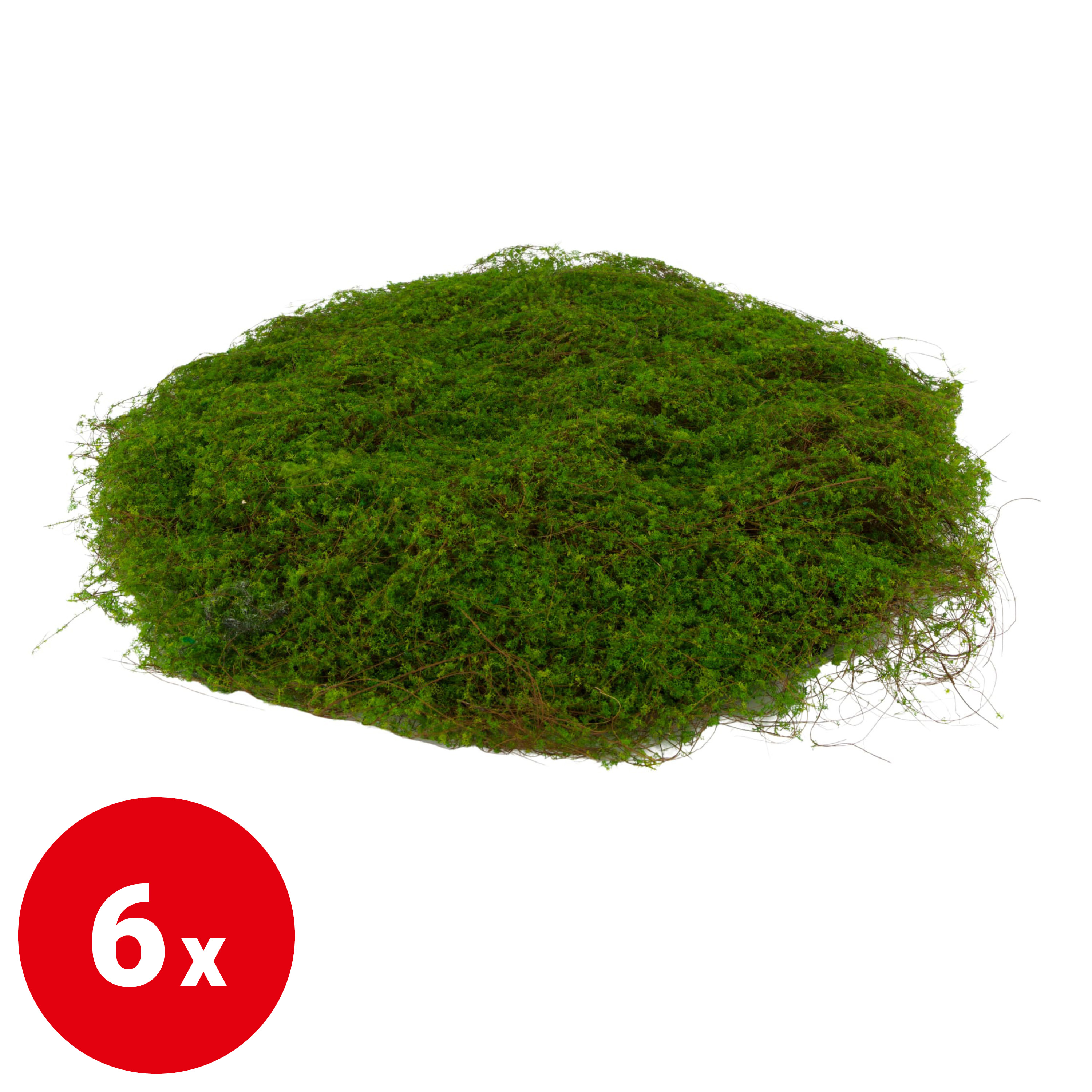 Moosteppich - rund - Ø 45 cm - VE: 6 Stück