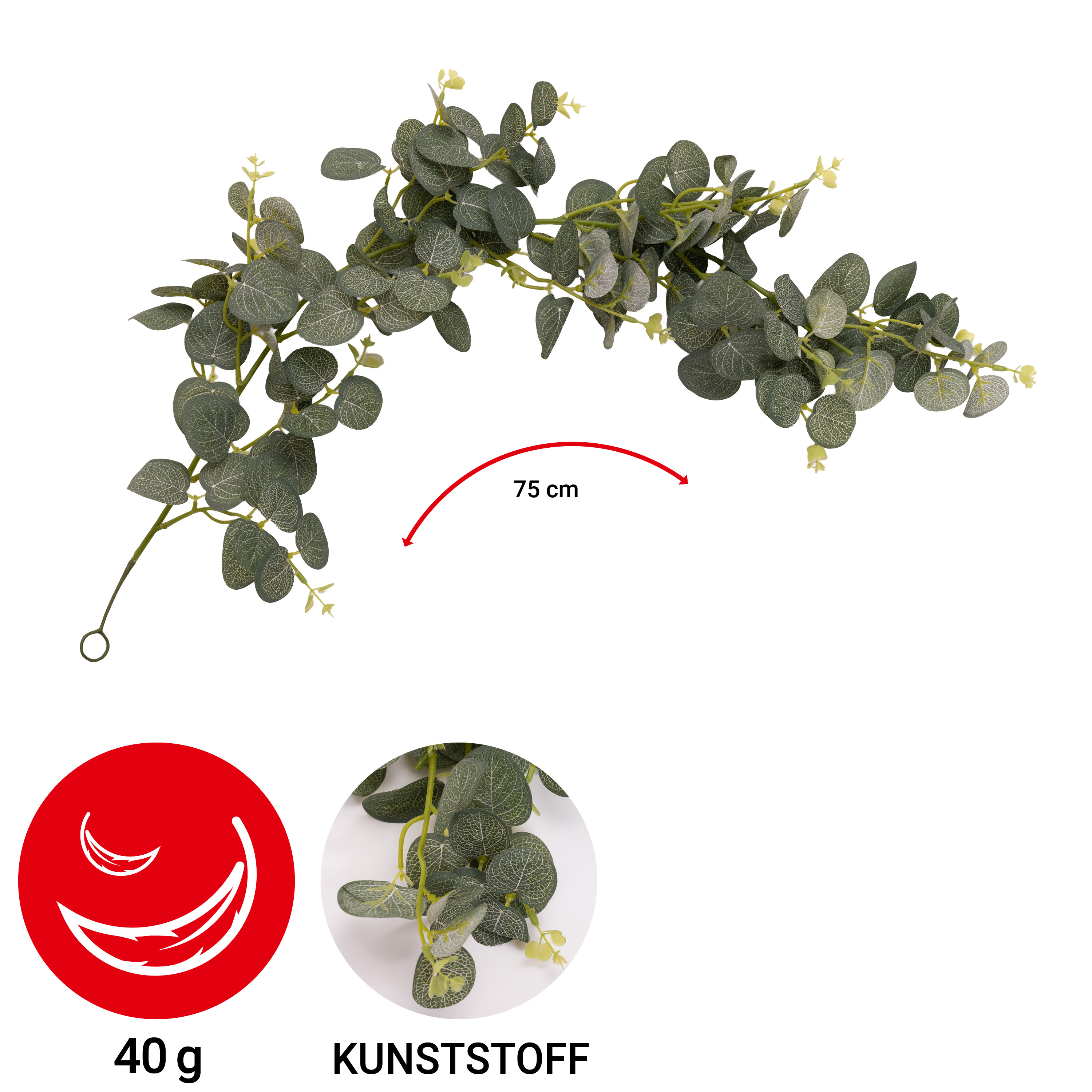Ranke - Eukalyptus - 75 cm - VE: 6 Stück