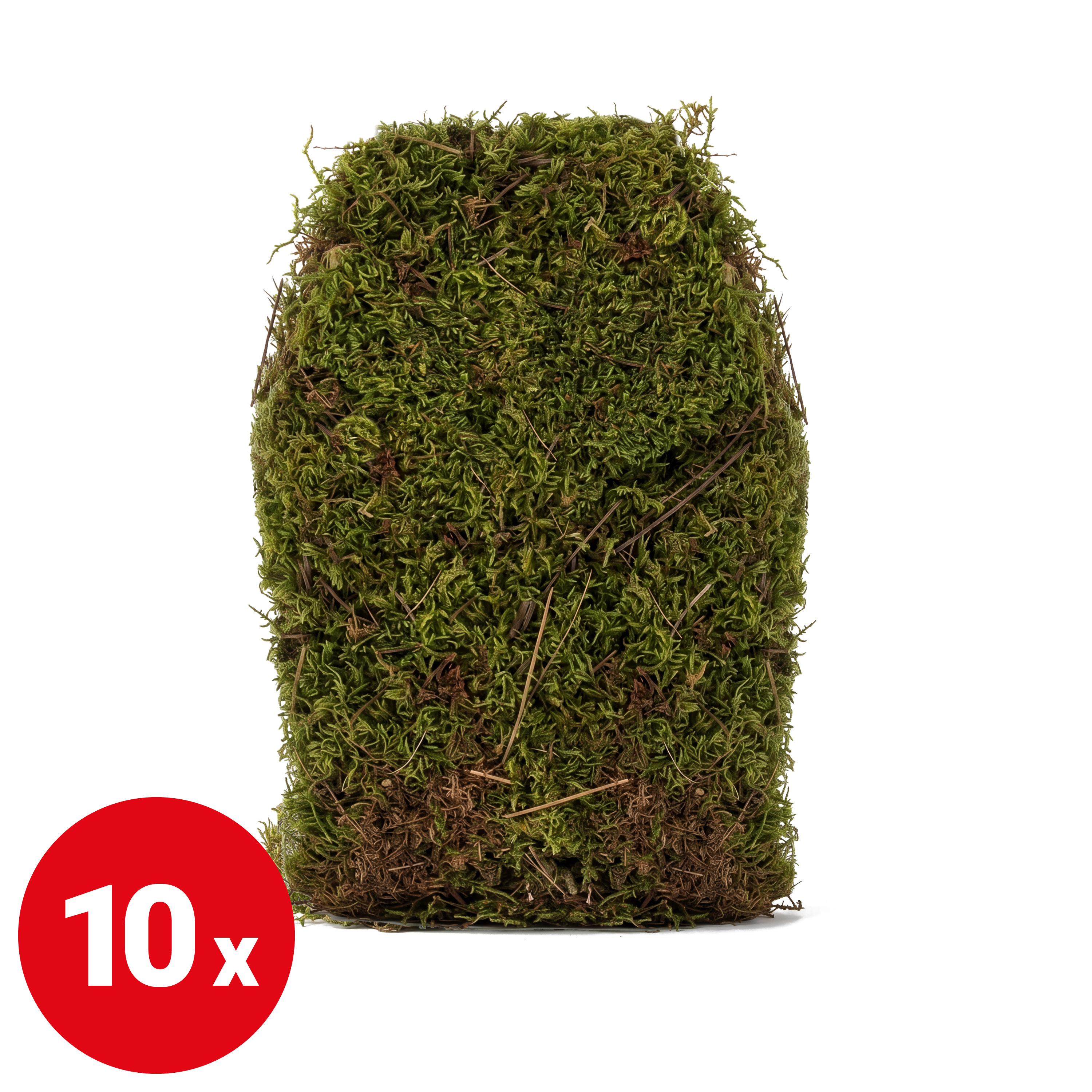 Moos - getrocknet/grün - VE: 1 kg