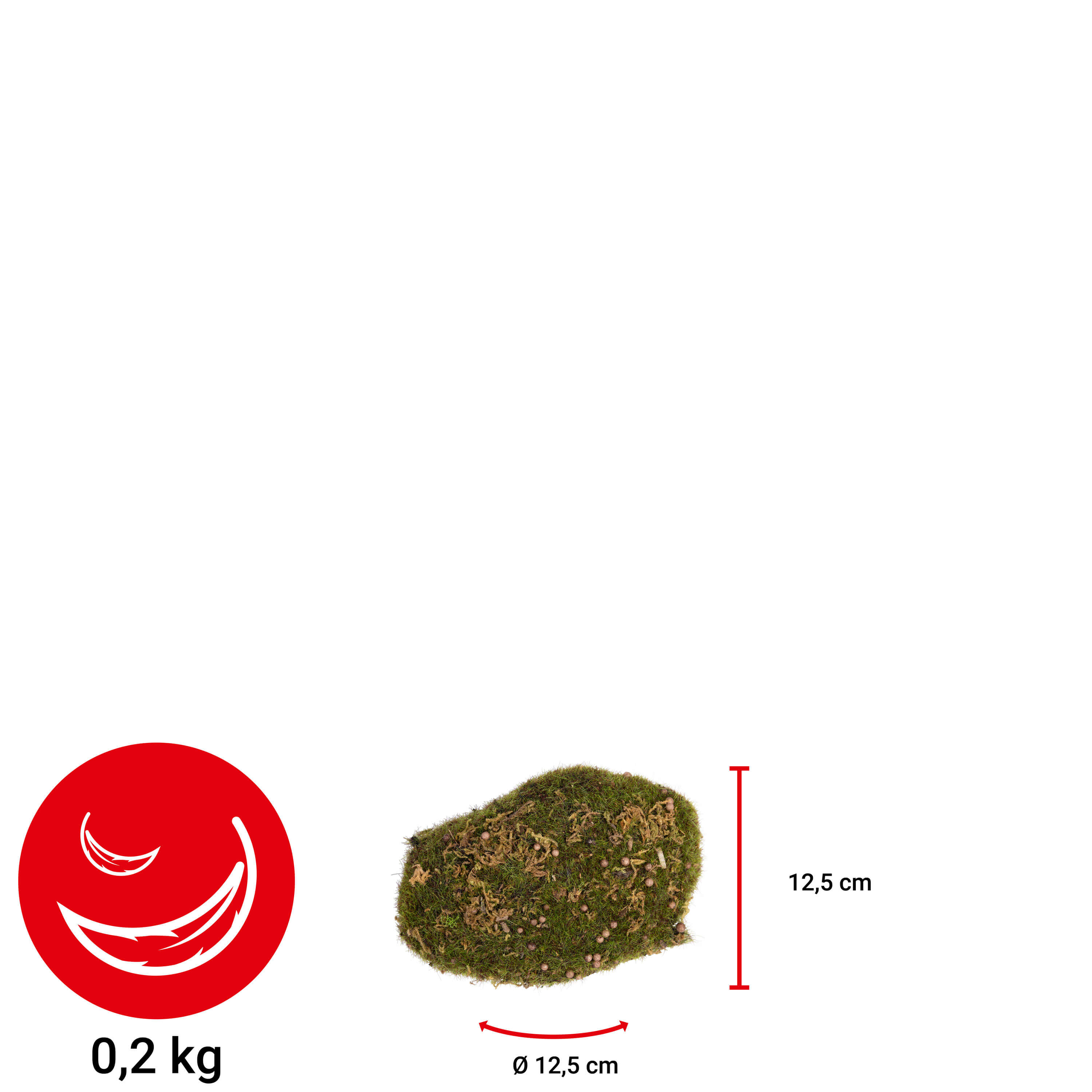 Moosstein - 12.5cm - 9 Stück
