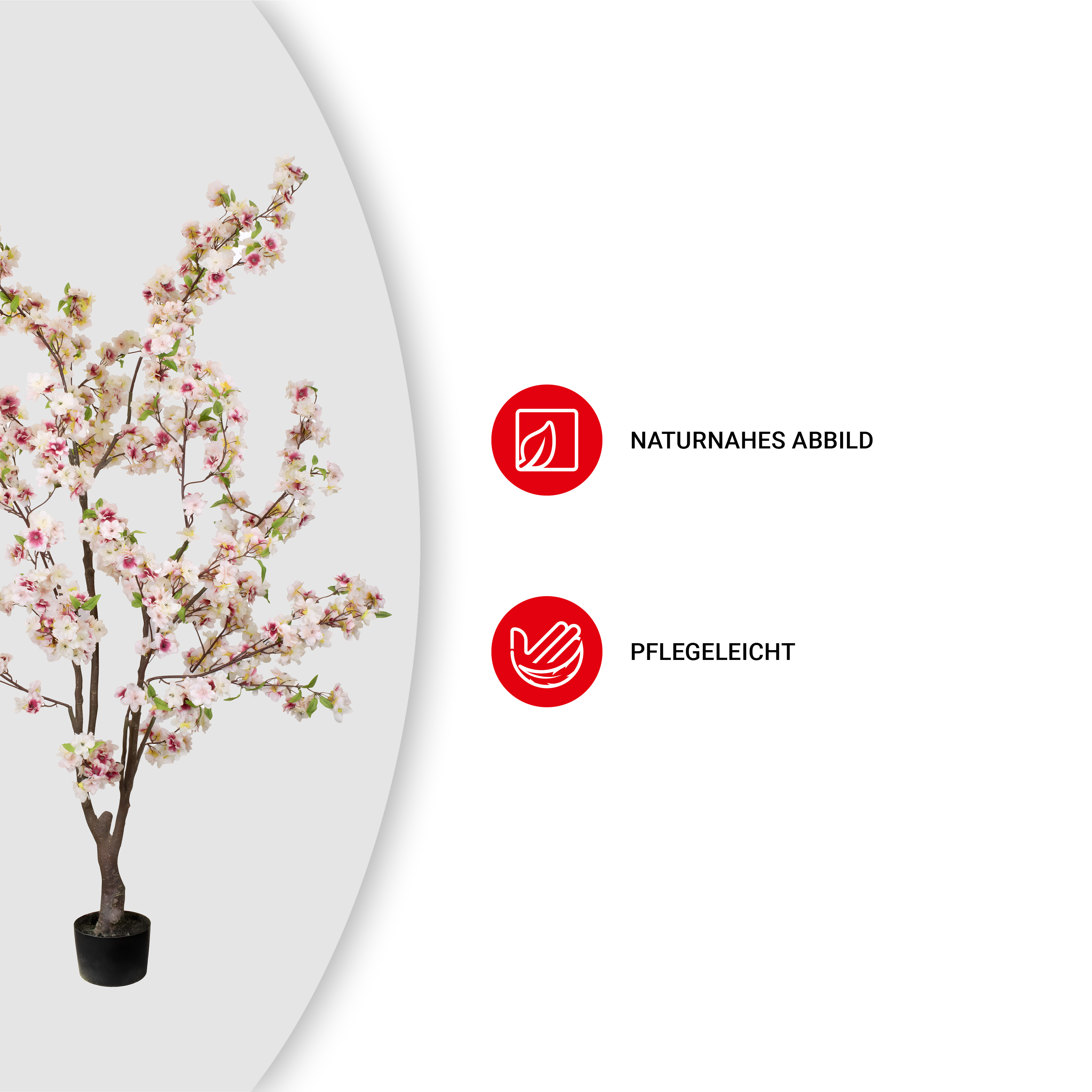 Kirschblütenbaum - 170 cm - VE: 2 Stück