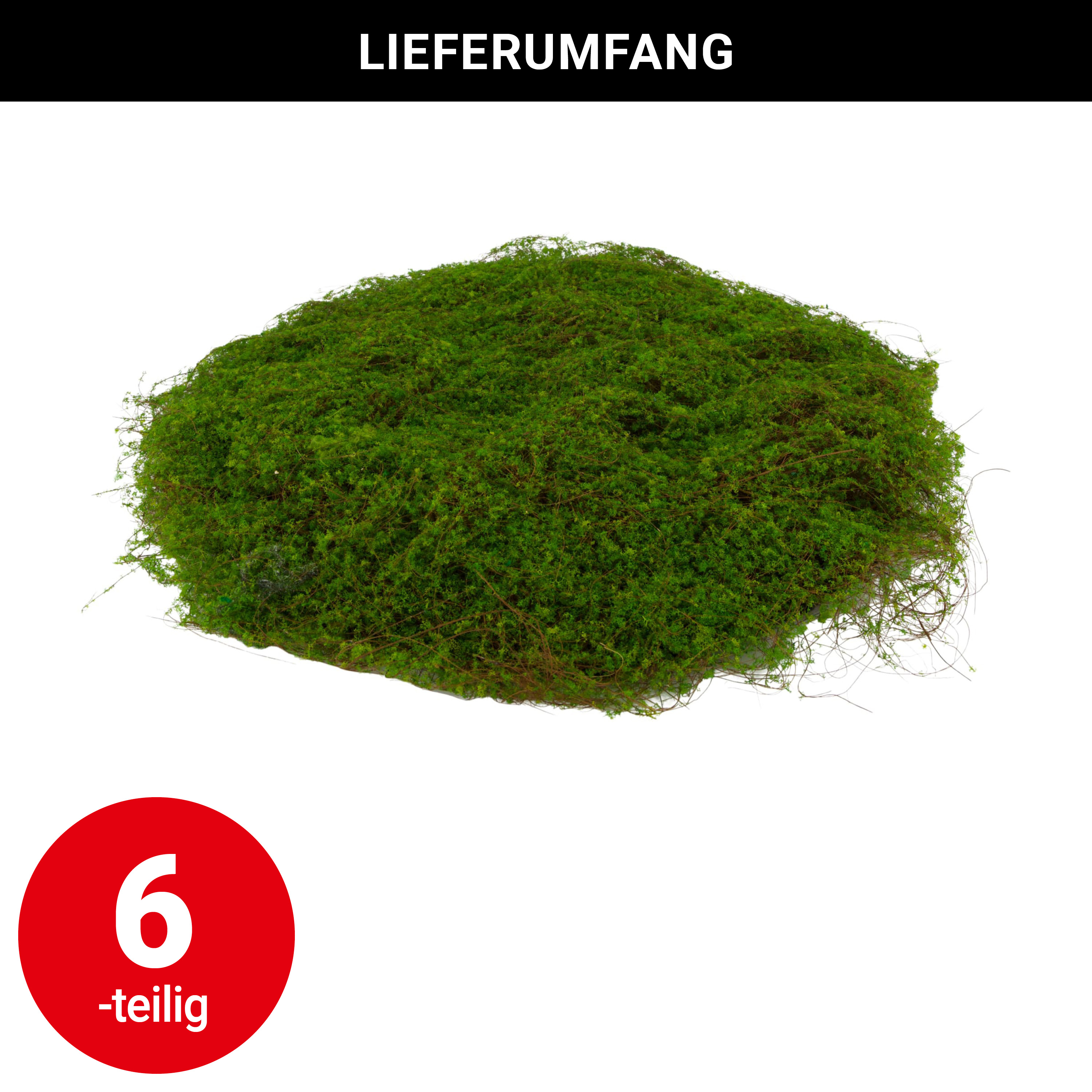 Moosteppich - rund - Ø 45 cm - VE: 6 Stück