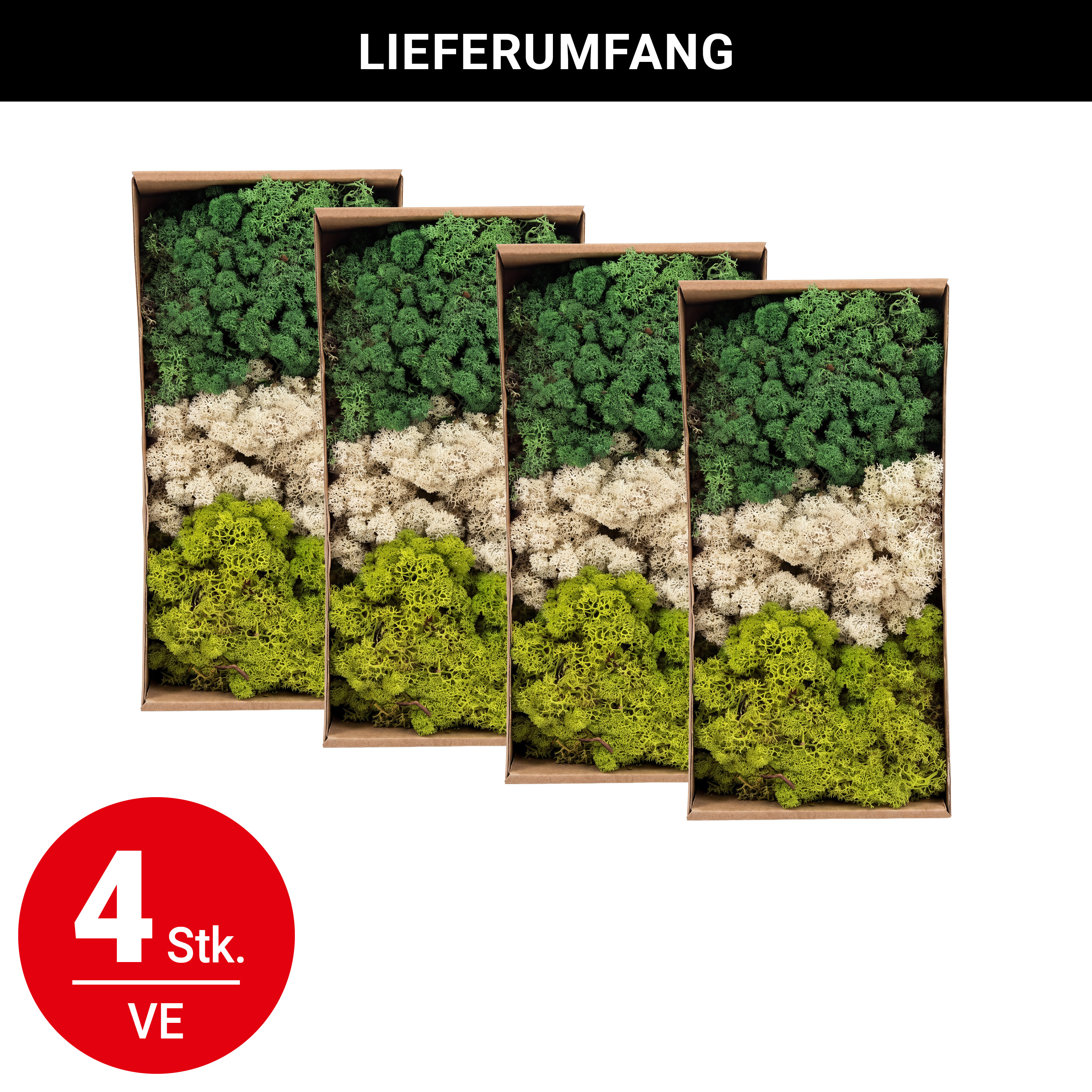 Moos - natur/beige - 500 g - VE: 4 Stück